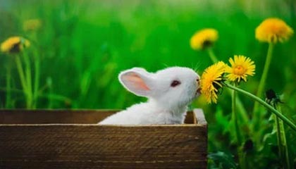 爱游互娱游戏官网-鲁尔区德比迎来高能比赛，鲁尔区德比体育市场化